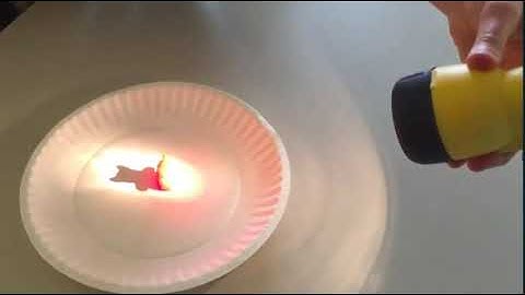 mySci 6 0 U2L2 Lesson Summary