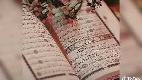 تلاوة القرآن الرائع /محمد عبد الرحيم fans
