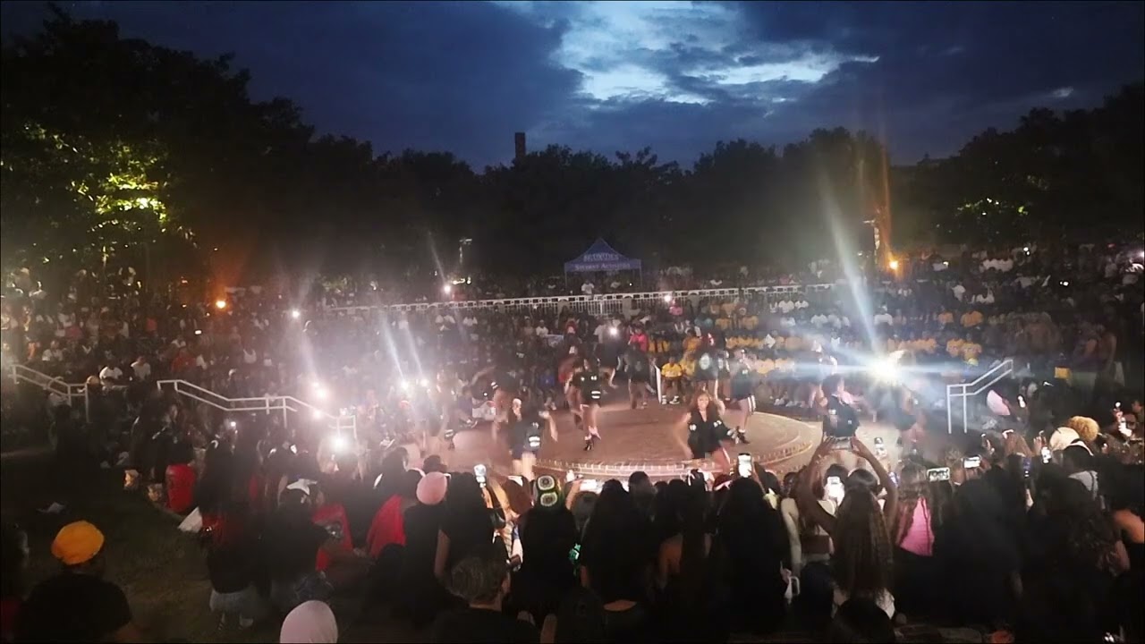 THE ALPHA PSI CHAPTER OF ALPHA KAPPA ALPHA SORORITY INC @ TENNESSEE STATE UNIVERSITY YARD SHOW 2024