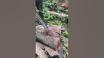 Log to Firewood Using Chainsaw – Quick Cutting Hack!
