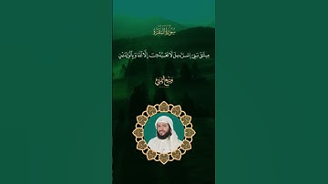 وَإِذْ أَخَذْنَا مِيثَاقَ بَنِي إِسْرَائِيلَ - سورة البقرة_ القارئ وديع اليمني _ مقاطع قصيرة