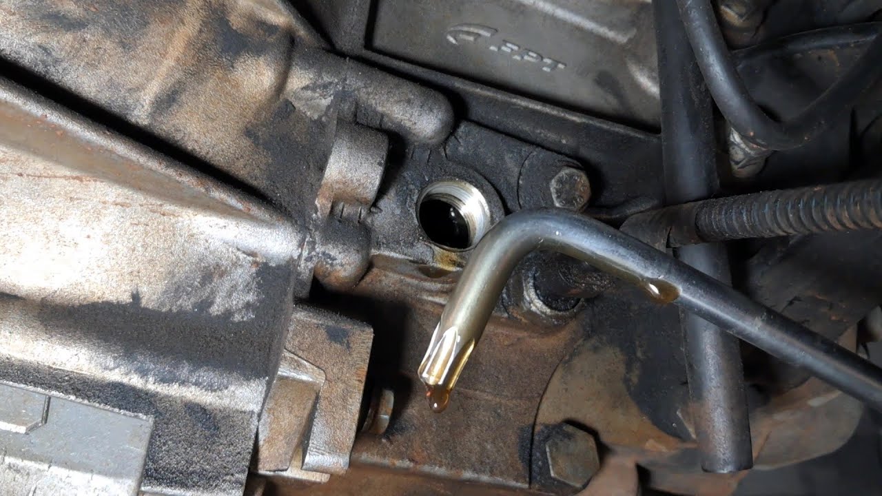 Como Verificar o Nível de Óleo da Caixa de Cambio Palio Siena Strada