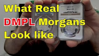 What A Real DMPL Morgan Dollar Looks Like! Deepest Mirrors!