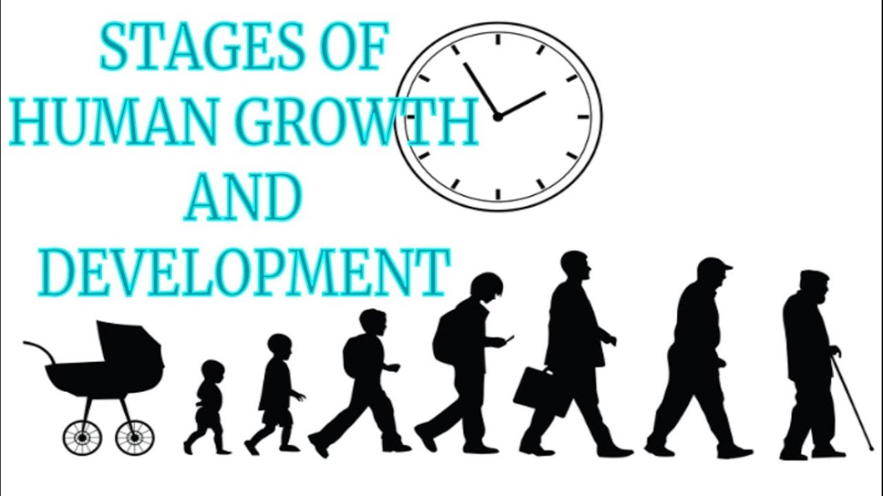 The 12 Stages Of Human Life Cycle