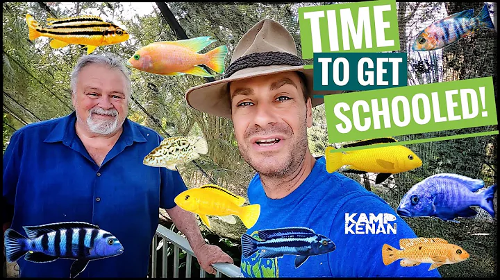 African Cichlid Overload!