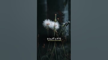 Surah Al Qasas | سورة القصص | #القصص #قصص #قص #alqasas #qasas #qas #sura #سورة #سوره #allah #الله