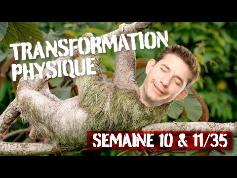 Passage de 4 à 5 séances/semaine, Covid et ne jamais sous-estimer un canard...