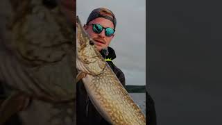 Mission Meterhecht in Schweden Teil 2 #bullseyefishing