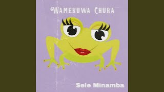 Wamekuwa Chura