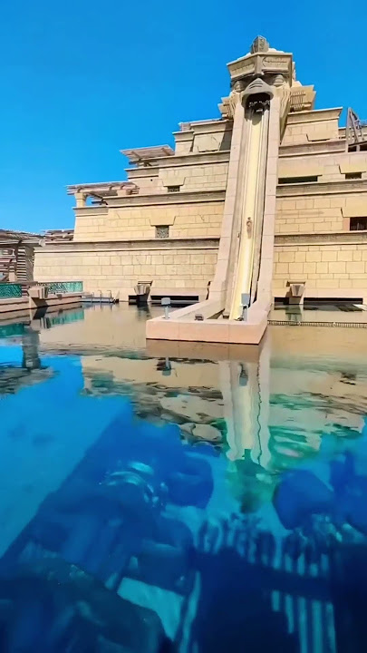Would you dare to slide through the shark tank? 😱 #dubai #dubailife #sharks #shark #sharktank #swim