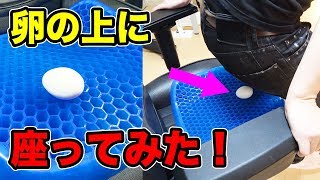 生卵の上に座ってみた！