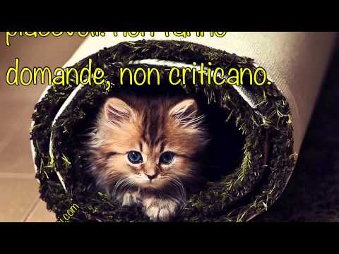 Orchestra E Coro Del Teatro San Carlo Di Napoli - Cavalleria rusticana Orchestra E Coro Del Teatro San Carlo Di Napoli - Cavalleria rusticana