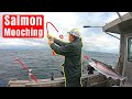 How to Mooch for Salmon (Salmon Mooching)