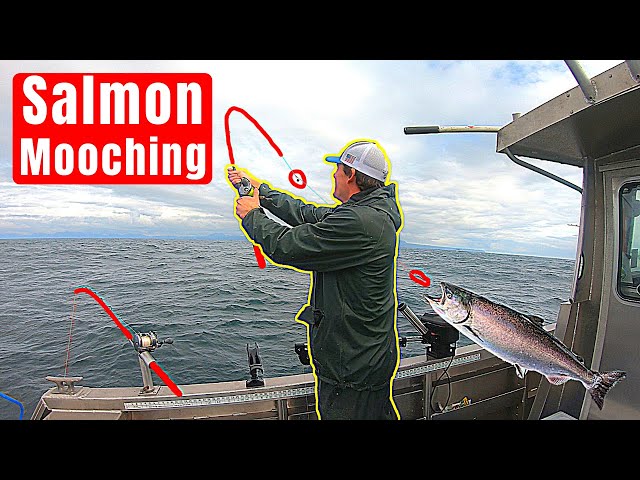 How to Mooch for Salmon (Salmon Mooching) 