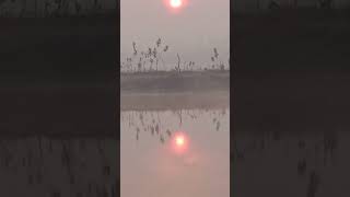 Viral Videos Nai Subah Ki Nai Kiran Chalo Aur Panchi E Gram Union Purva