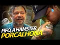 FIFÓ, UM HAMMSTER PORCALHÃO! | A CASA DOS BICHOS