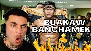 UFC FANS FIRST TIME REACTION TO BUAKAW BANCHAMEK HIGHLIGHTS AND KNOCKOUTS | MUAY THAI