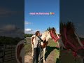 meet my first horse peaches!!!! #firsthorse #horsegirl #equestrian #leasehorse #loanhorse