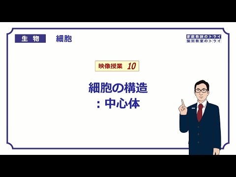 【高校生物】　細胞10　中心体（１４分）