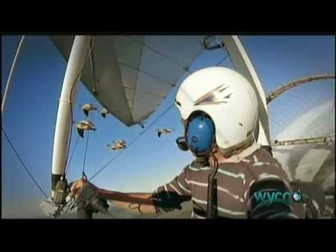 The Secret Routes of Migratory Birds