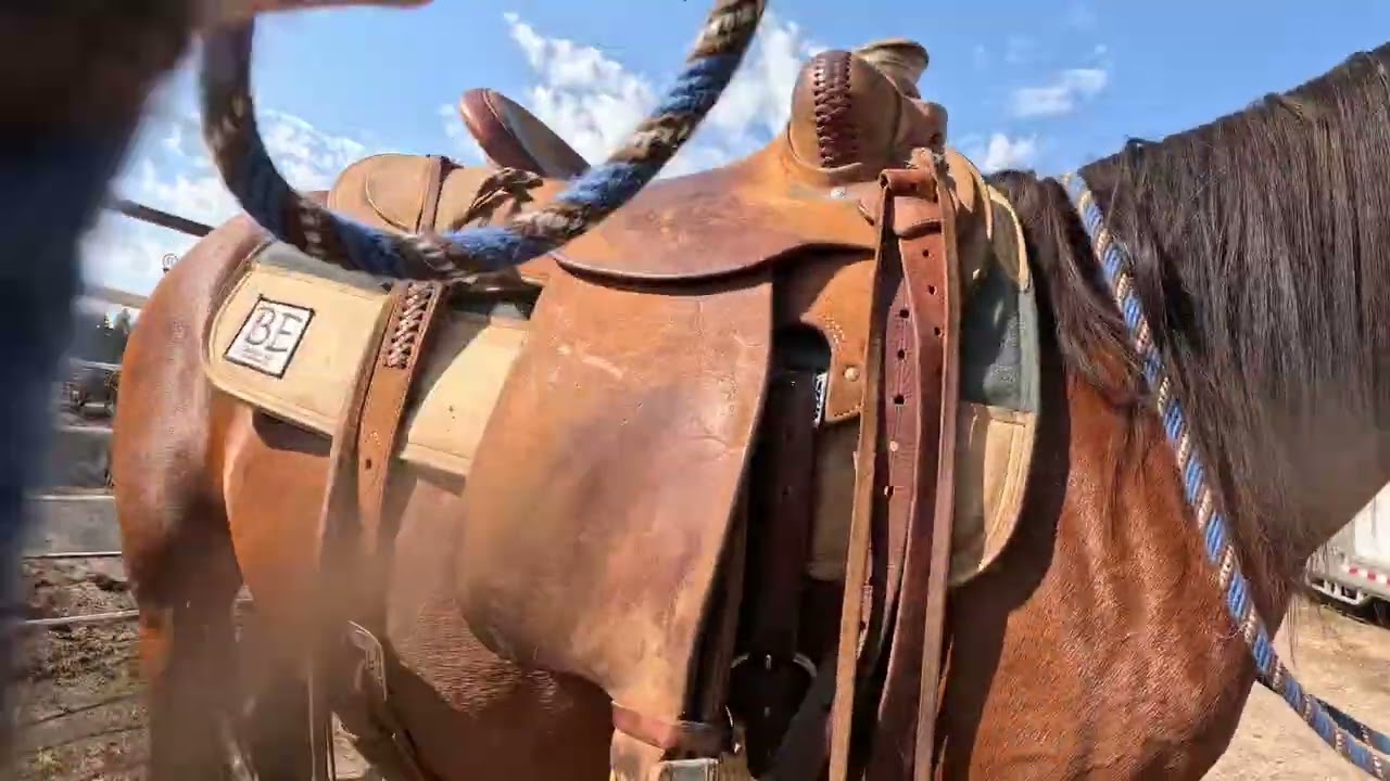 Ember and the spooky barn creatures!! 10/2/25