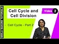 Cell Cycle & Cell Division - Cell Cycle - Part 2