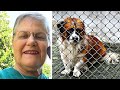Frau fragt nach ältesten und unbeliebtesten Hund im Tierheim - Das hat sie bekommen...