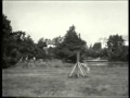 Schutzhund in Germany 1936 - (Ovejeristas.com.ar)