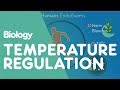 Mastering Body Temperature Regulation and Homeostasis