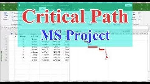 Filter and Show Critical Path in MS Project
