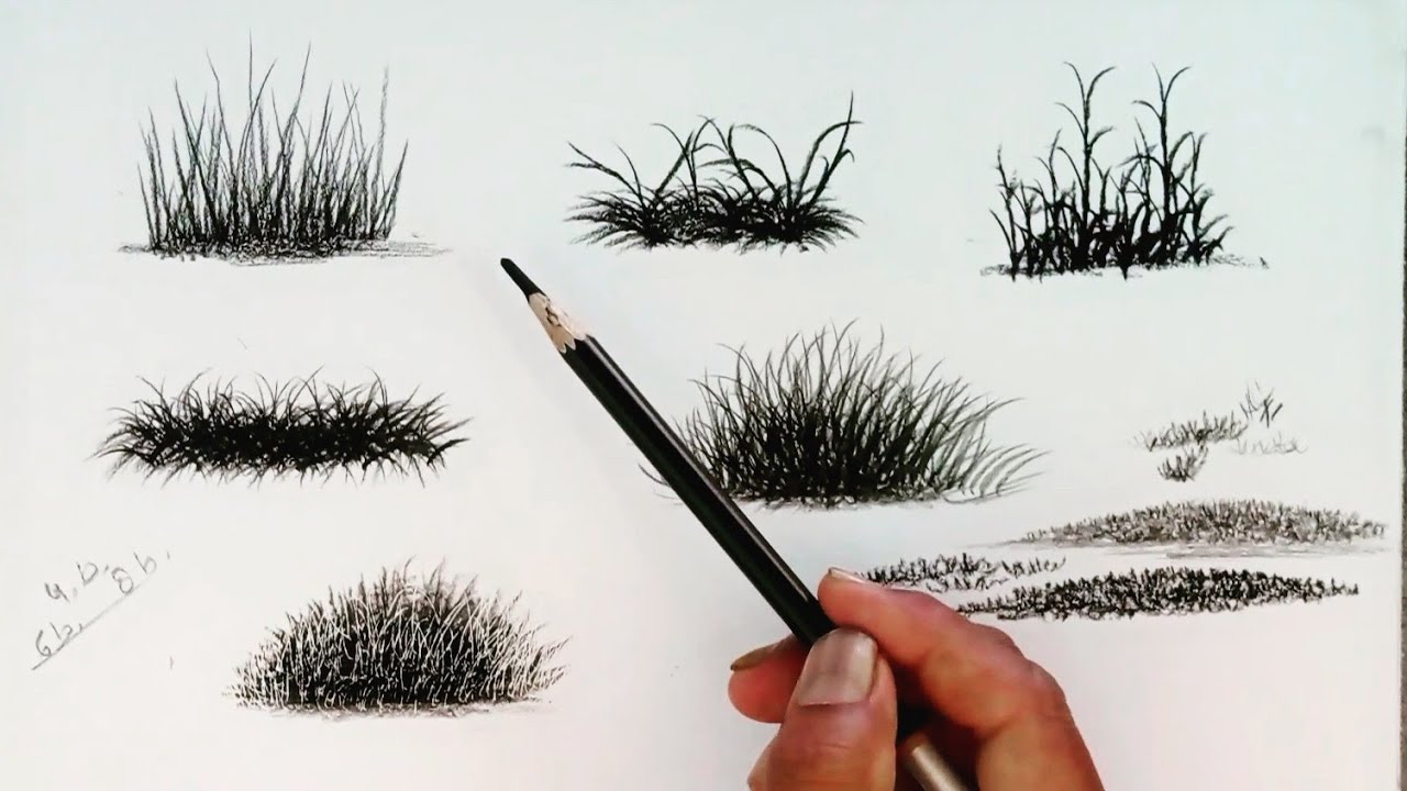 How to draw grass with pencil / Drawing for beginners / - YouTube