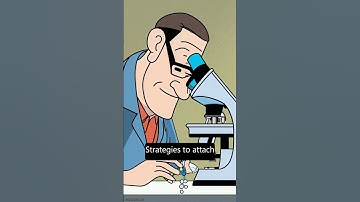 Recent advances in graphene-based biosensor technology with applications in life scie... | RTCL.TV