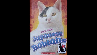 Japanese Bobtails  Kids Books Read Aloud