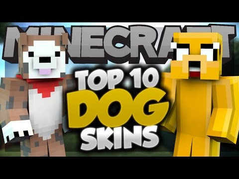 Top 10 Minecraft DOG SKINS! - Best Minecraft Skins