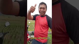 SEMANGAT2#shorts #subscribe #layanglayang #kitefighter #kitefighterindonesia