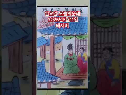 <strong>돼지띠</strong> 오늘의운세 2025년5월11일 운세 #운세 #오늘의운세 #돼지띠운세
