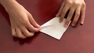 Origami Flapping Bird (Crane) - Beginners Traditional Origami