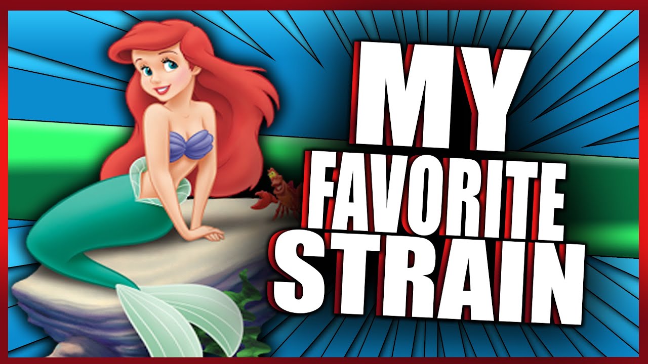 My Favorite Strain! (Life Story)