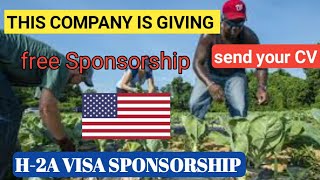 How to Apply for Free H-2A Visa Sponsorship Jobs in the USA | Top Companies Hiring Now!
