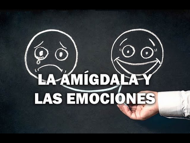 Dragón psicoakativo síntomas de diabetes