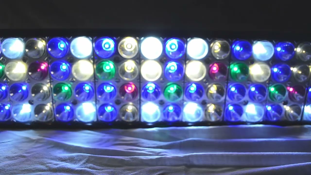 Popbloom T50 Freshwater