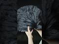 Black Gold Tea The Secret Of Lotus Leaves Unveiled Lotus Leaf Charcoal Black Gold Tea The Secret Of Lotus Leaves Unveiled Lotus Leaf Charcoal