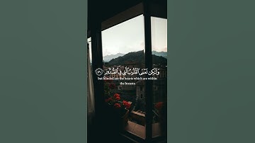 أَفَلَمْ يَسِيرُوا فِي الْأَرْضِ فَتَكُونَ لَهُمْ قُلُوبٌ.. #القرآن_الكريم #ياسر_الدوسري #سورة_الحج