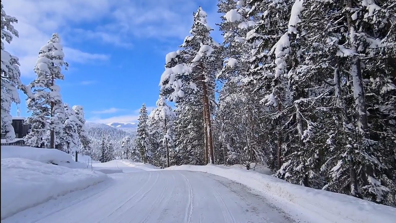 Slow life in Norway - A walk in the snowy mountains🏔