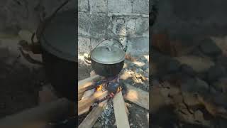 COOK RICE IN THE WOODS shortvideo foodclips ofwhk viralvideo food