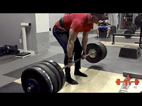 503 Pound Dead