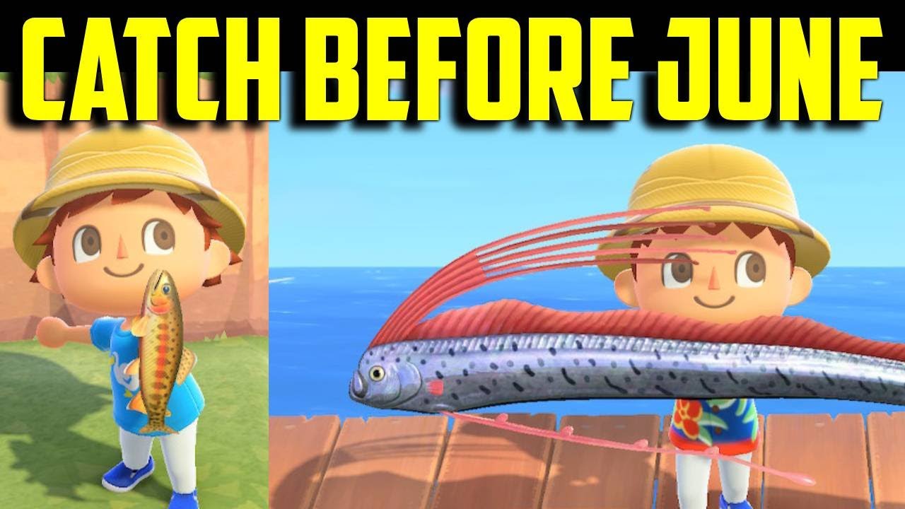 Catch Before June | Fish You Need to Catch in Animal Crossing New