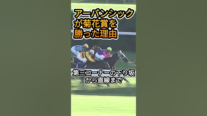 アーバンシックとルメール騎手が菊花賞G1を勝った理由 #競馬レース結果