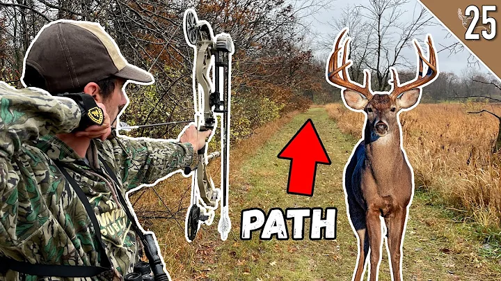 BIG BUCKS on an ACCESS PATH!!! (Bowhunting Public Land)