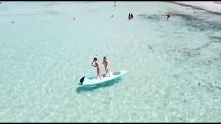 sup mondello, sup Palermo tuna alberti school
